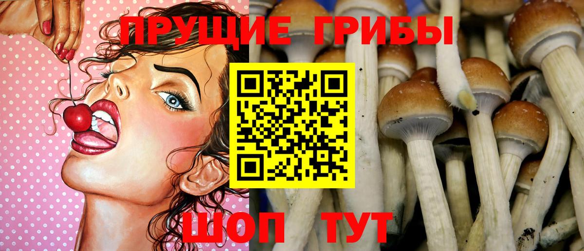 Урюпинск  Галлюциногенные грибы Cubensis  Галлюциногенные грибы мухоморы  Вход с VPN 